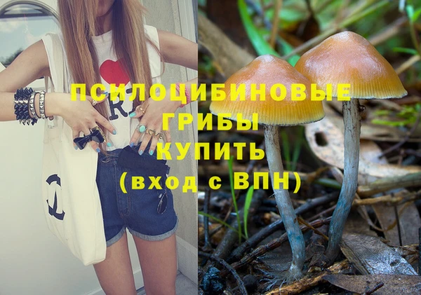 кокс Магас