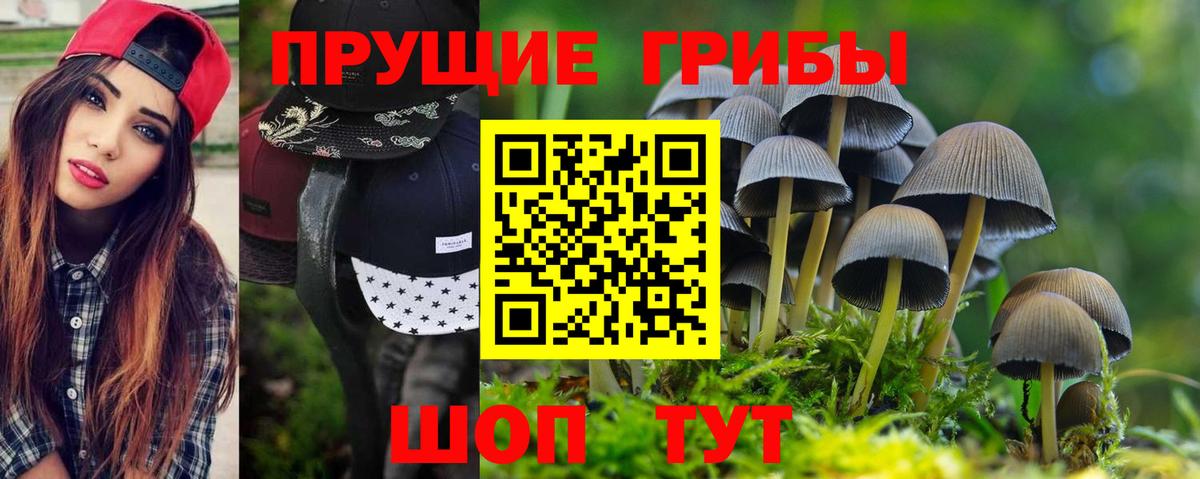Галлюциногенные грибы Psilocybine cubensis  Псилоцибиновые грибы MAGIC MUSHROOMS  Вход с VPN  Полысаево 
