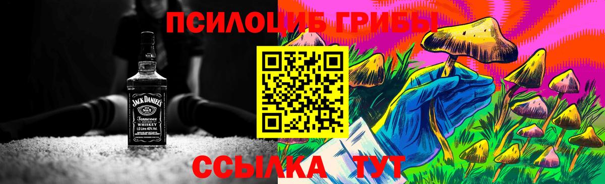Псилоцибиновые грибы GOLDEN TEACHER Полысаево